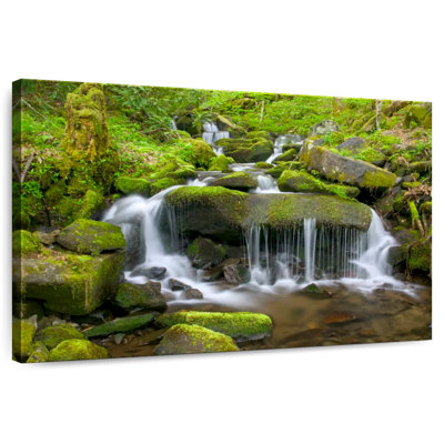 Alvord Mossy Stream Waterfall