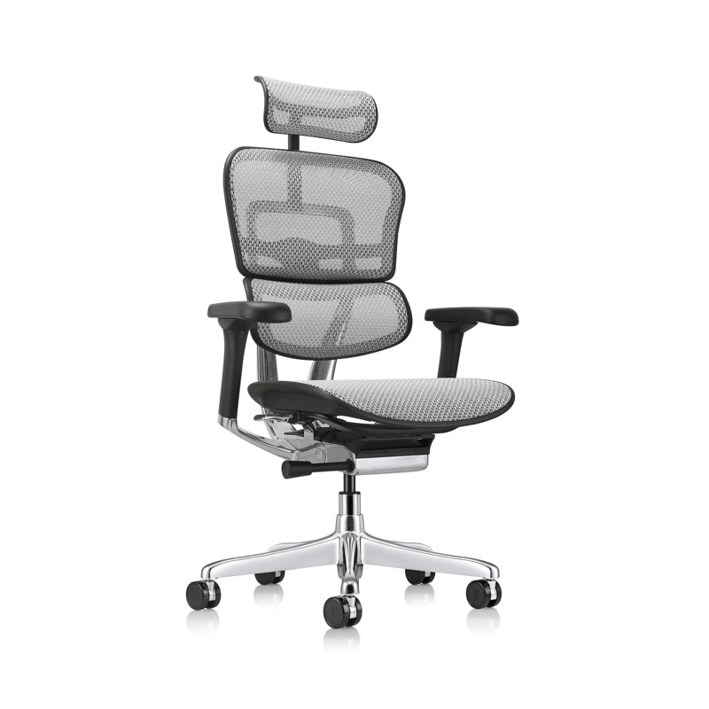 Chaise de travail ergonomique en filet Ergohuman, Gris - Génération 2
