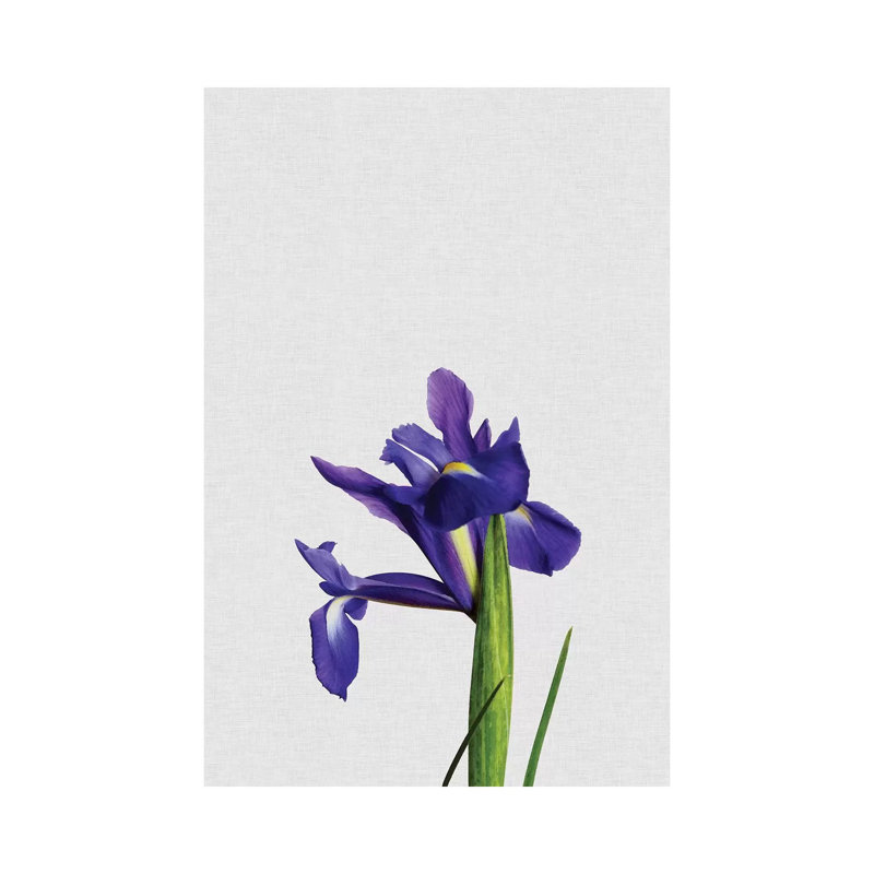 Iris - Wrapped Canvas Print, 152.5 cm H x 101.5 cm W