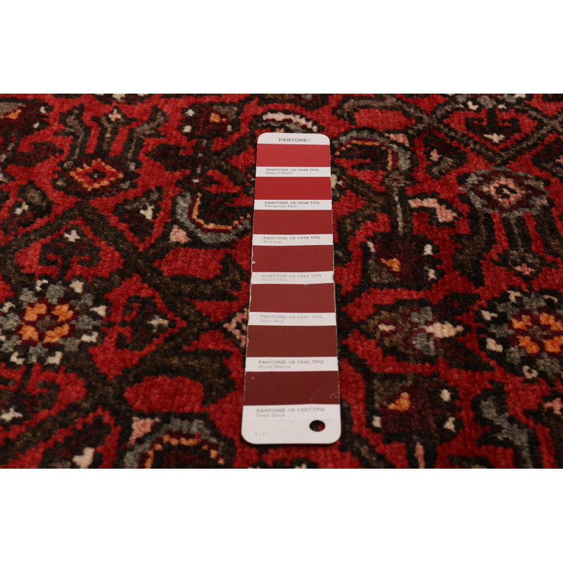 Tapis rouge Andelz 3 pi 9 po x 10 pi 1 po