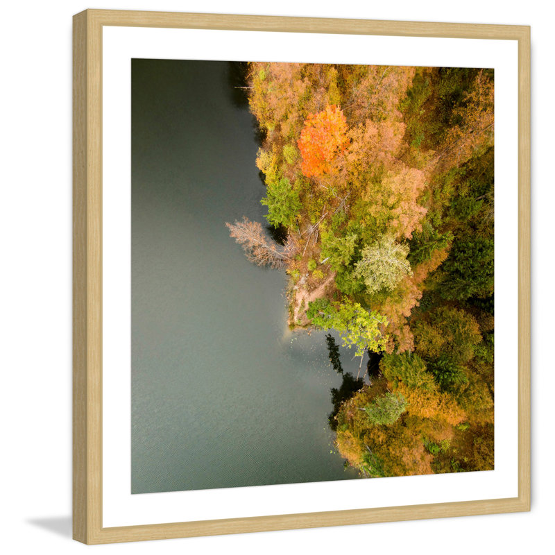 Single Picture Frame Print, 41 cm H x 41 cm W x 3.81 cm D