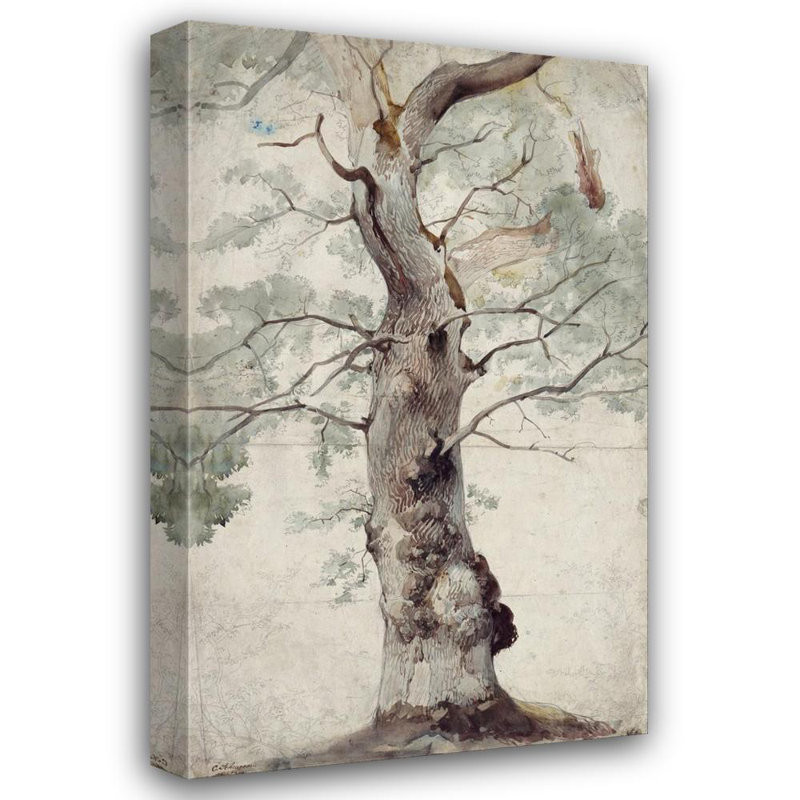 «Study of a Tree» par Caspar Scheuren, toile tendue avec châssis, H 24 po x l 17 po