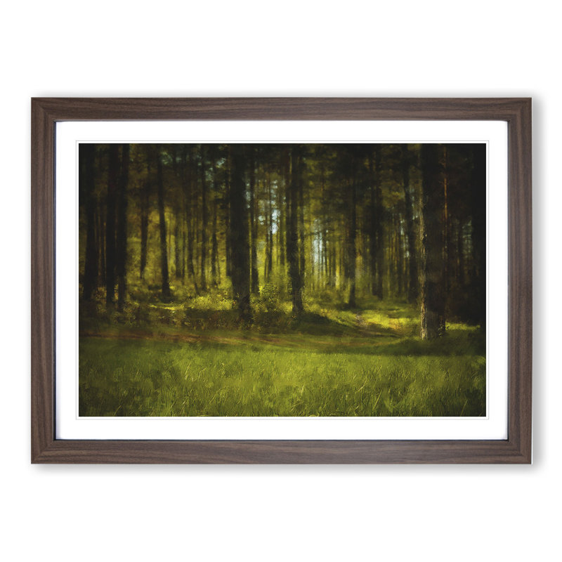 Green Forest Vol.4 - Framed Print, Walnut Framed, 27cm H x 36cm W x 2cm D