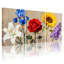 Plantes et fleurs, ensemble de 3 impressions sur toile avec lys roses, tournesols et lavande-1091645860