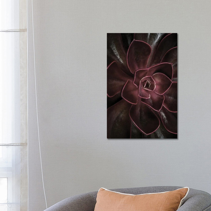 Secret XVI by Design Fabrikken - Wrapped Canvas Print, 66.04 cm H x 45.72 cm W x 3.175 cm D
