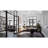 Steel Armed Sconce-1315956575