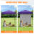 6x4 Canopy Tent, Heavy Duty Pop up Canopy with Sidewall-123292634