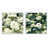 Cadre flottant blanc