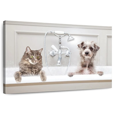 Luxury Pet Bath