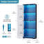 Display Cabinet-2072756571