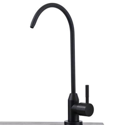 Metro Lane 450mm W Single Bowl Stainless Steel Kitchen Sink with 2 Faucet Holes
