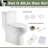 One-Piece Dual Flush Toilet, 12" Rough-in ADA Height 17", 1.1/1.6 GPF, Gloss White-115612890