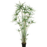 72'' Cypress Tree in Planter
