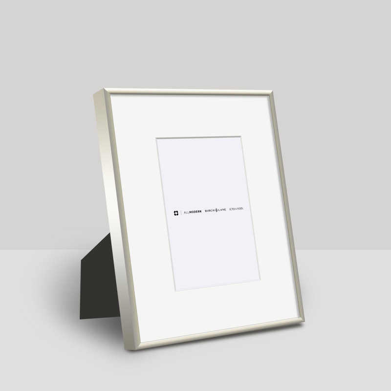 Feronia Metal Picture Frame with Mat, 4" x 6", Silver