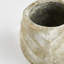 Cache Ceramic Planter-1849084781