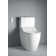 Floor Mounted Toilet Bowl for Sensowash Dual Flush