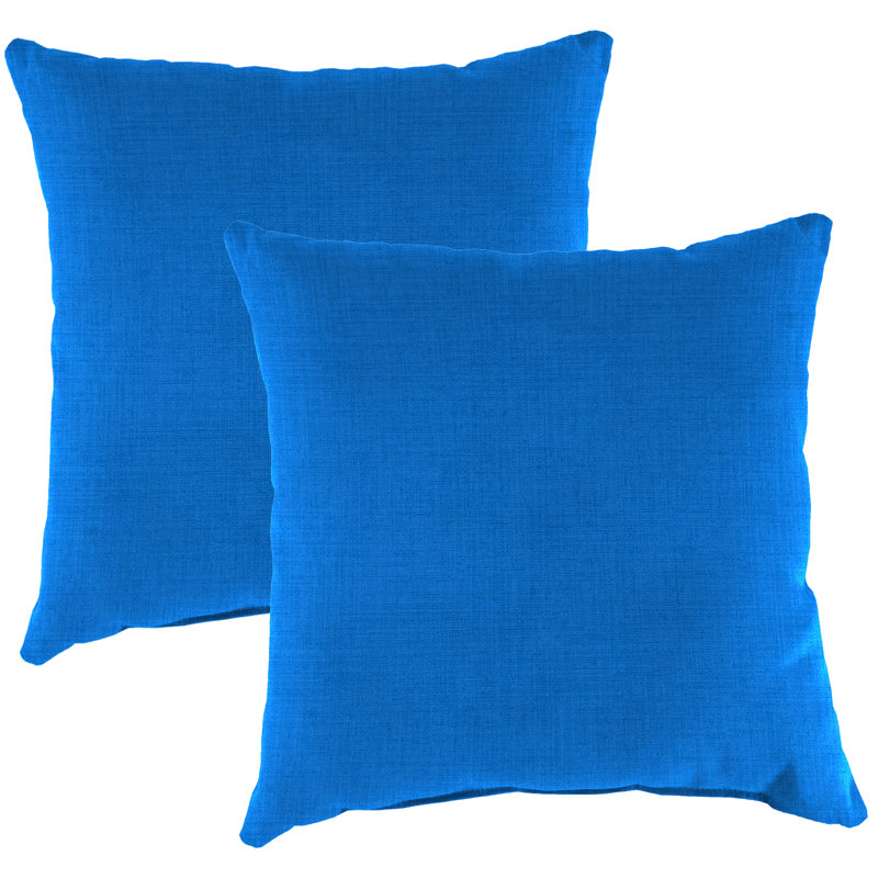 16" x 16" Outdoor Throw Pillow (Set of 2), Celosia Princess Blue