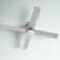 Poppe 52'' Ceiling Fan with LED Lights