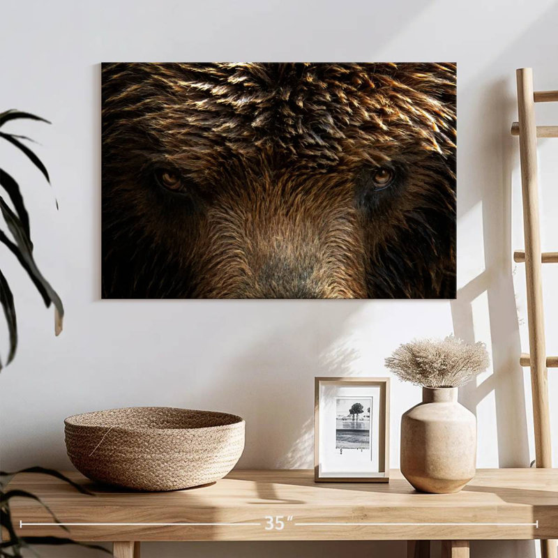 Yeux de grizzly, H 16 po x l 24 po