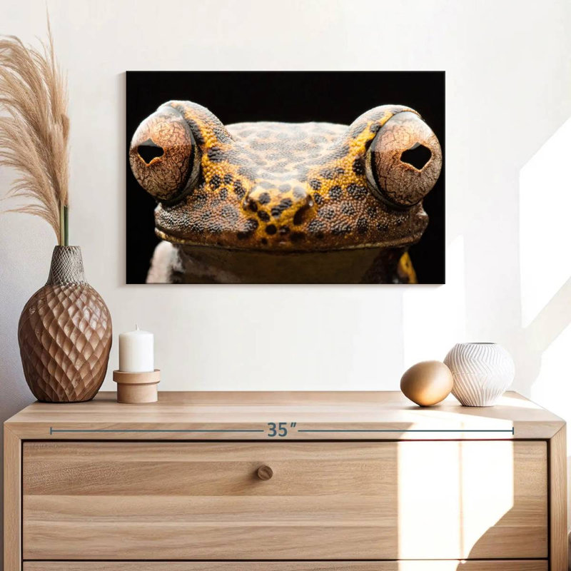 Brampt Tree Frog Eyes, 8" H x 12" W