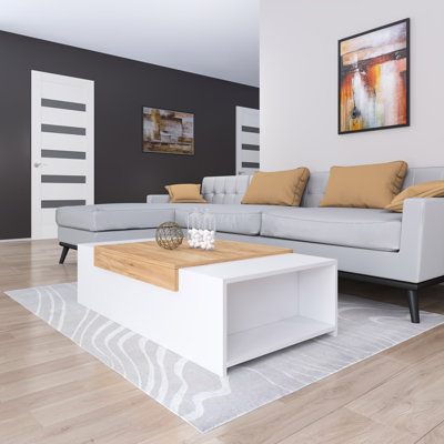 Fatlina Solid Wood Block with Storage Coffee Table