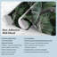 Bordure florale-100665221