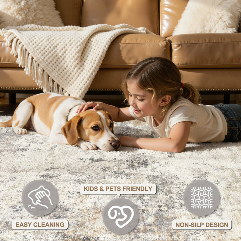 Washable Area Rugs Modern Abstract Rugs Soft Indoor Floor Mat for Dining Room Low Pile Carpet with Non Slip Backing