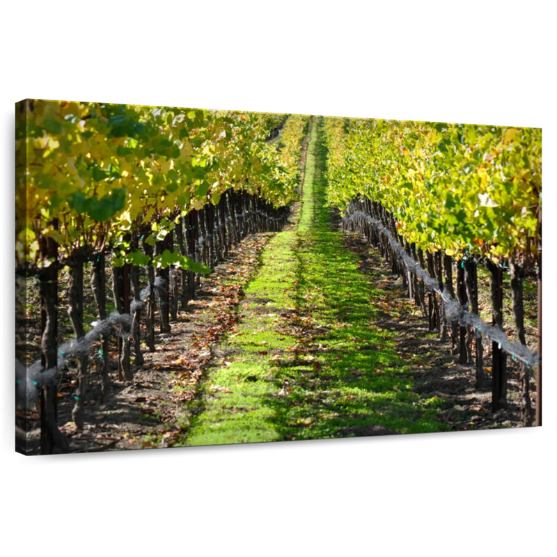 Yarlin Napa Valley Vineyard, H 30 po x l 45 po
