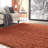Renesha Indoor Rug-119577617
