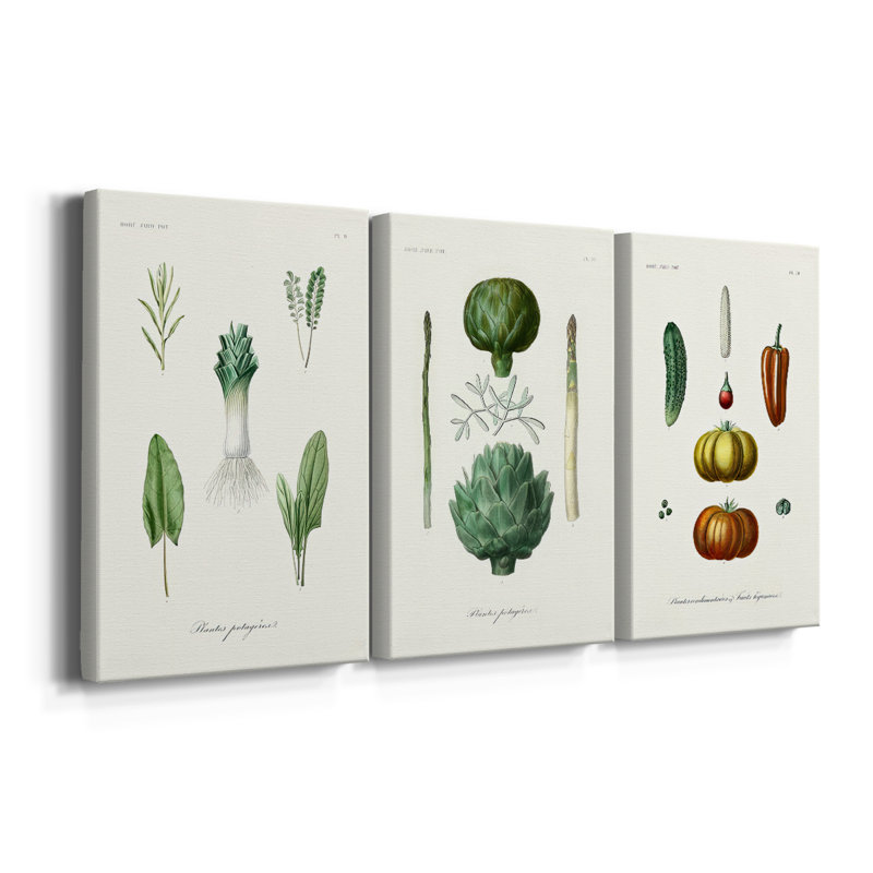 Fruit et légumes Variétés I - Toile tendue sur mesure avec châssis - 3 pièces, H 18 po x l 36 po