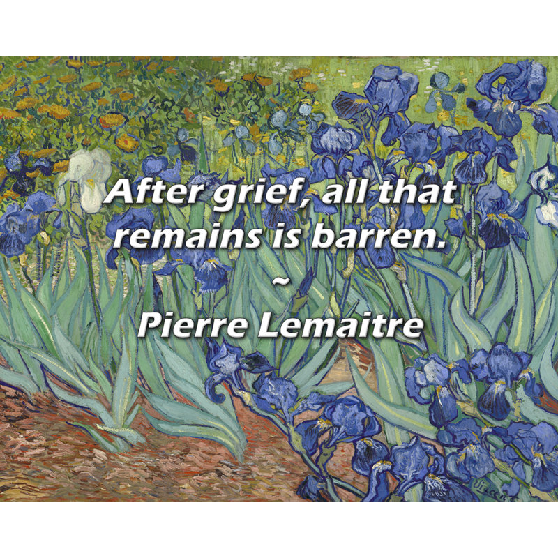 Pierre Lemaitre Citation: Après le chagrin, tout ce qui reste est aride., H 15 po x l 18 po