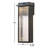 Hunnewell LED Wall Light
