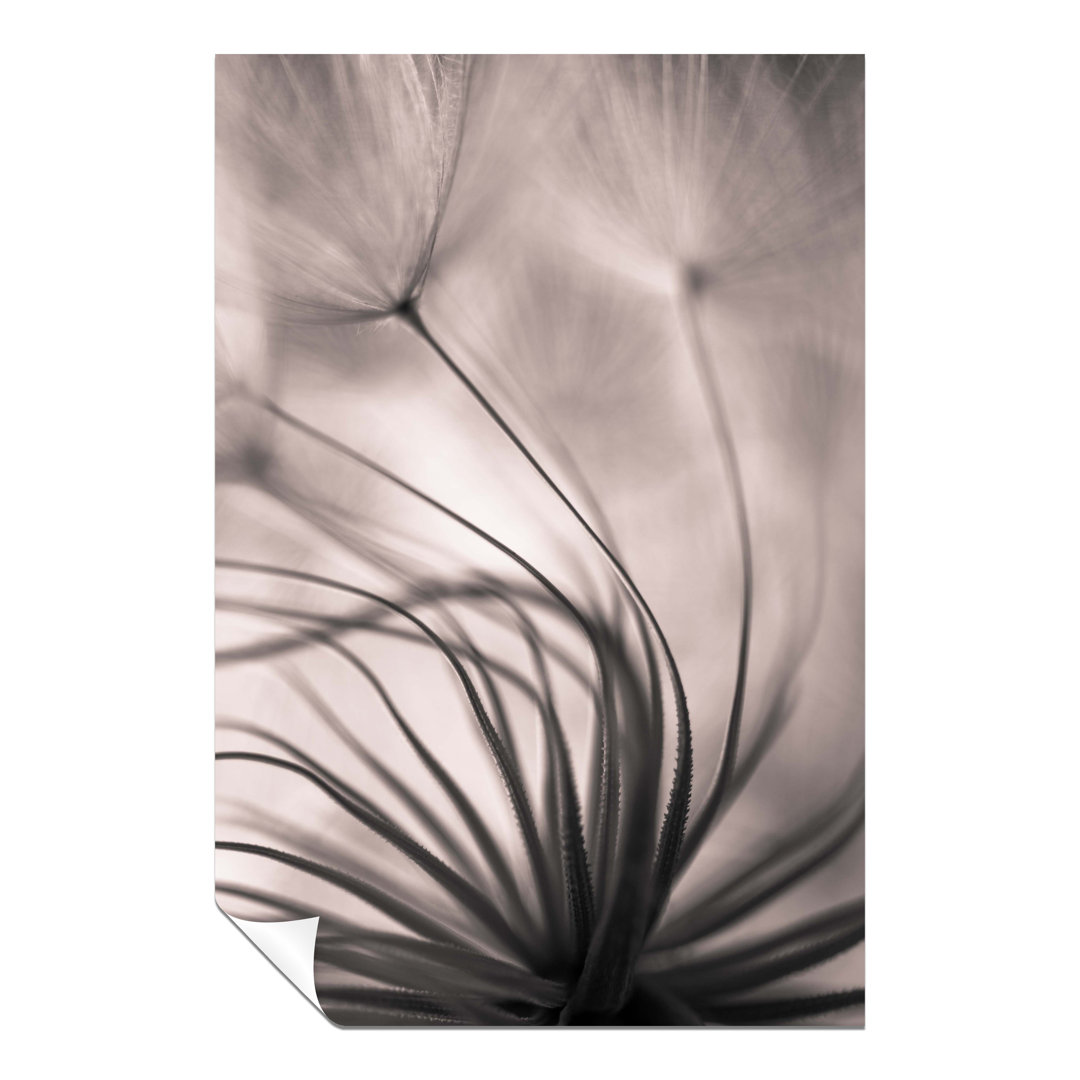 Panther Print Fine Art Prints Black & White Blurry Dandelion Silhouette Artistic Unframed Poster, Pictures For Home Walls, Bedroom, Living Room & Bath