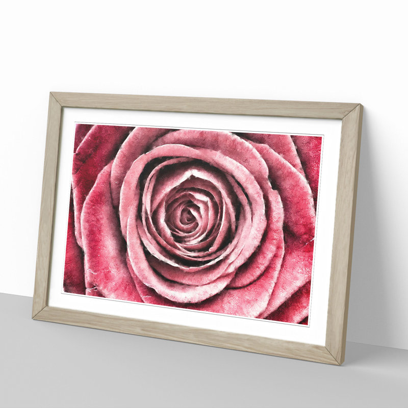 Pink Rose Flower Vol.2 - Framed Print, 27cm H x 36cm W x 2cm D, Oak Framed