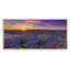 Lavender Field Sunset Landscape II - photographie sur toile-1524453265-1524453264