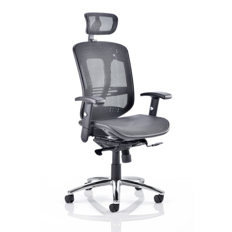 Oasis Mesh Office Chair with Headrest