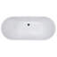 63'' x 28.74'' Freestanding Soaking Bathtub