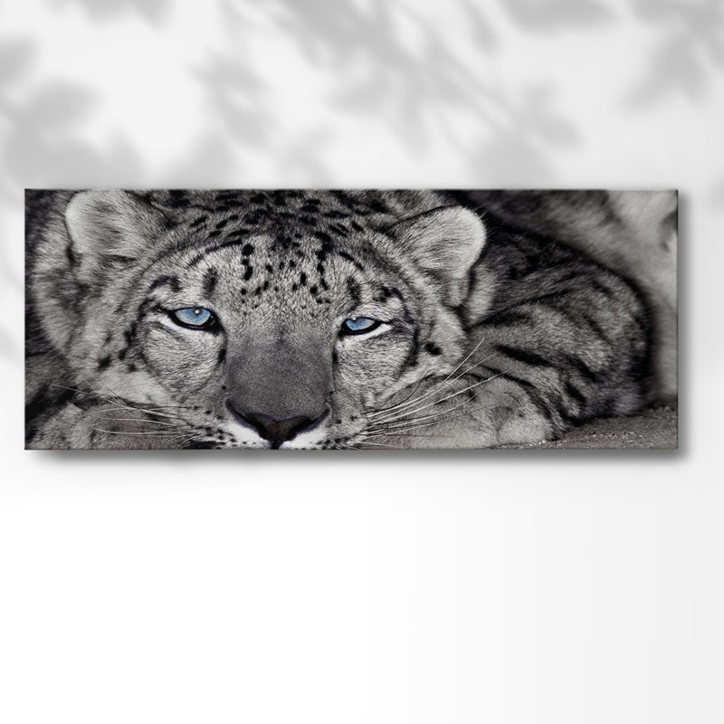 Snow Leopard Sanctuary - Photographie sur toile tendue, H 12 po x l 30 po x P 1,5 po