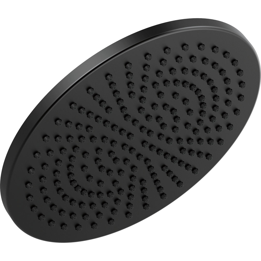 Single-Setting Rain Adjustable Shower Head Delta 