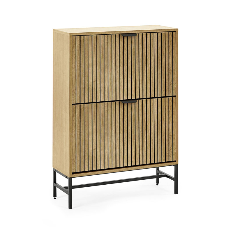 2 Door Shoe Storage Cabinet
