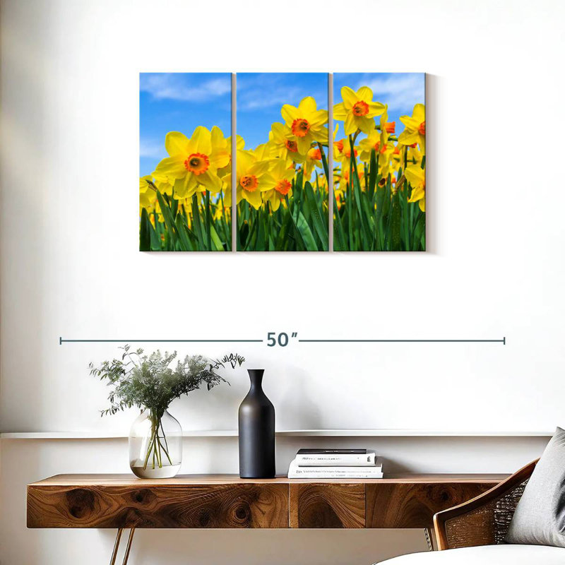 Dutch Master Daffodils, 20" H x 33" W