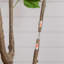 6 pi Bougainvillée artificiel minimaliste-1646291917