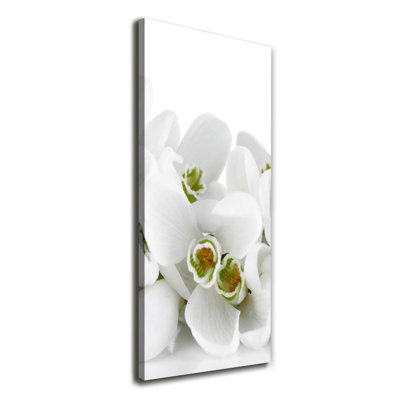 White Snowdrops - Wrapped Canvas Print