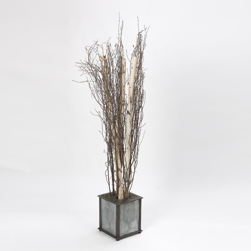 78 " H Faux Birch Branch in Solid Wood Planter