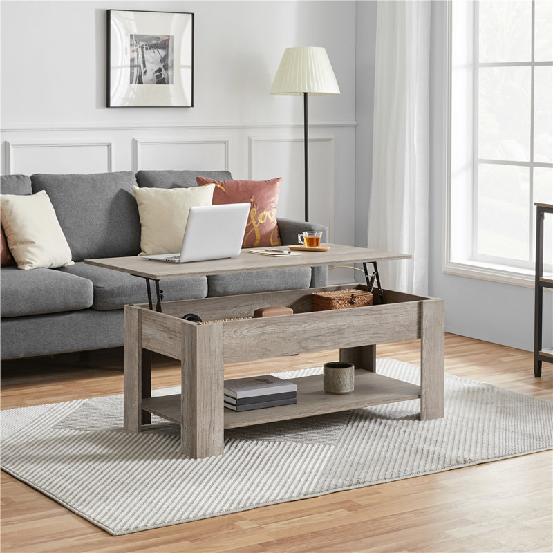 Table basse Ajeem, H 19,5 po x L 47,5 po x l 23,5 po, Brun rustique