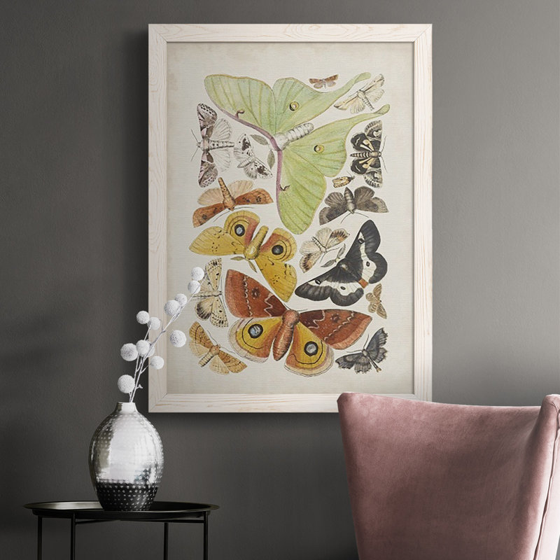 Papillons antiques I, Blanc, H 37,5 po x l 27,5 po x P 1 po