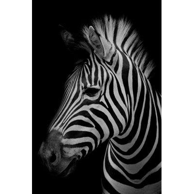 " Zebra Side Portrait "