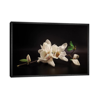 Magnolia by Tony08 - Floater Frame Gallery-Wrapped Canvas Giclée on Canvas