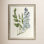 Large Blue Botanical II Print