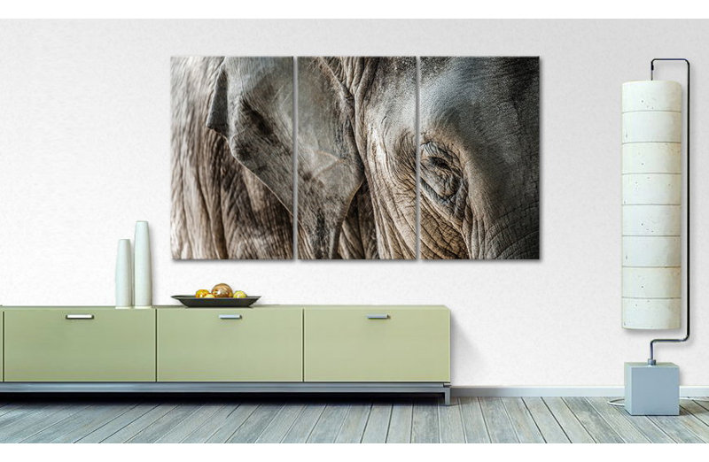 3 Piece Wall Art on Canvas